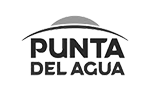 Clientes Consultora Levisman Argento